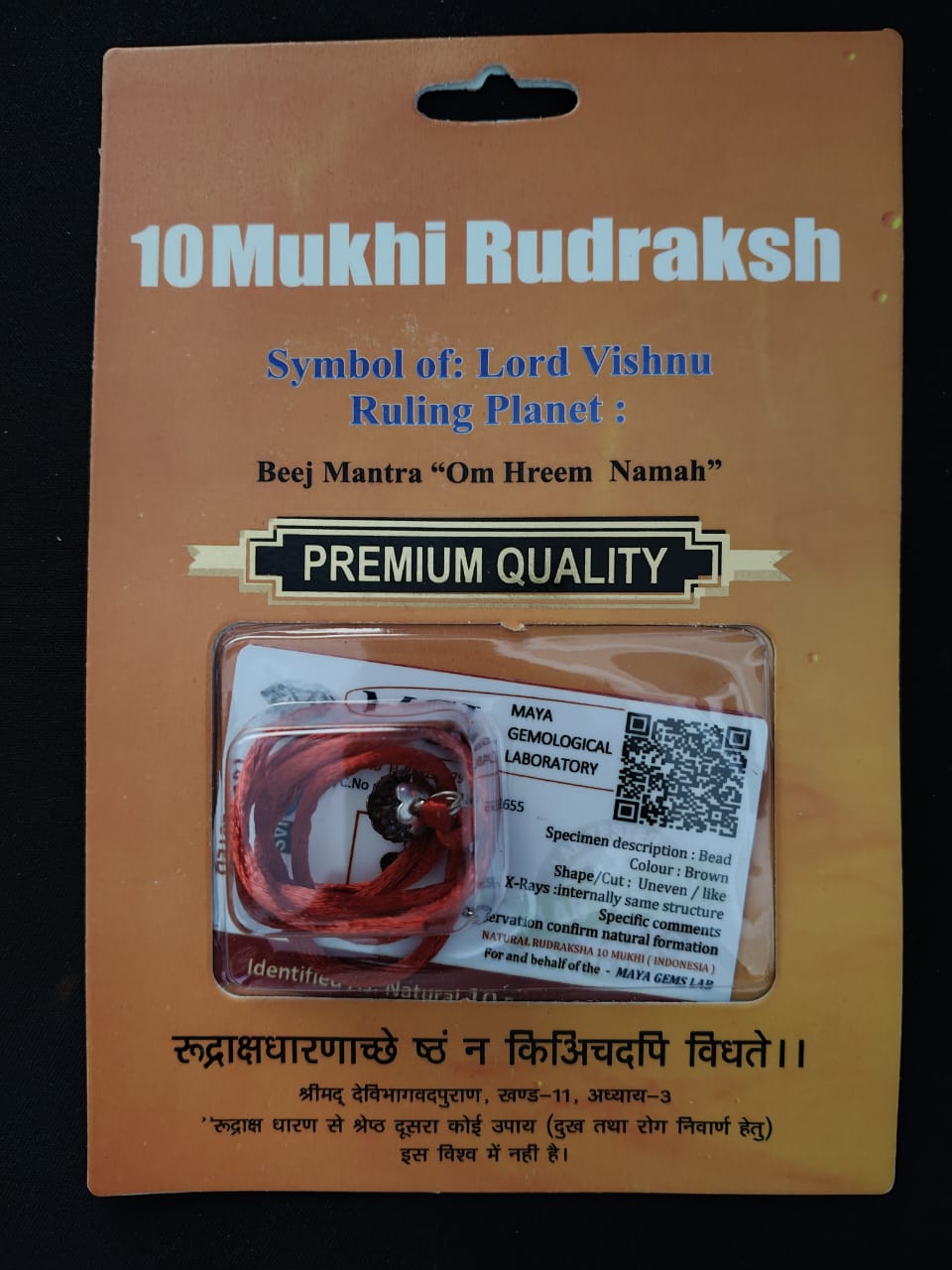 10 Mukhi Rudraksha